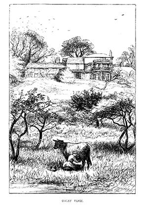 Orley Farm illustration